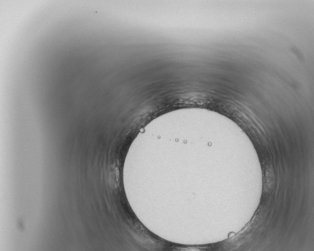 X0000115410183200912011233