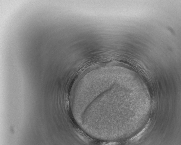 X0000115410186200912011233