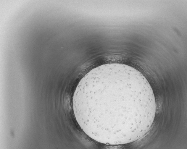 X0000115410187200912011233