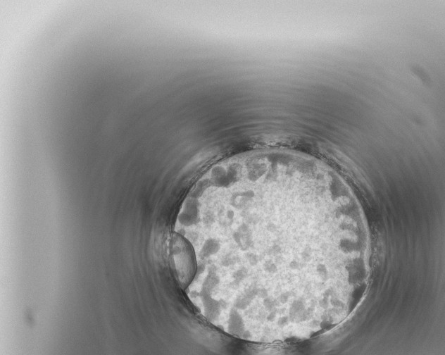 X0000115410191200912011233