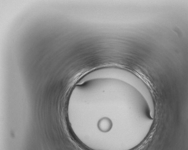 X0000115410193200912011232