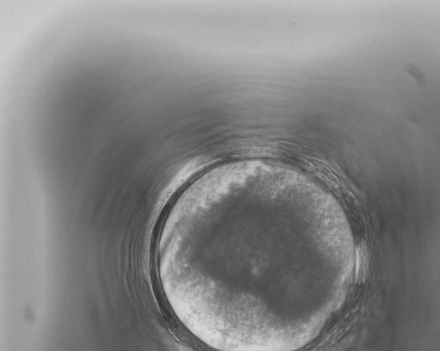 X0000115410195200912011232