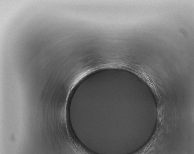 X0000115410196200912011232