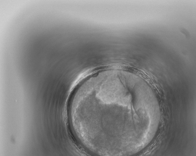 X0000115410198200912011232