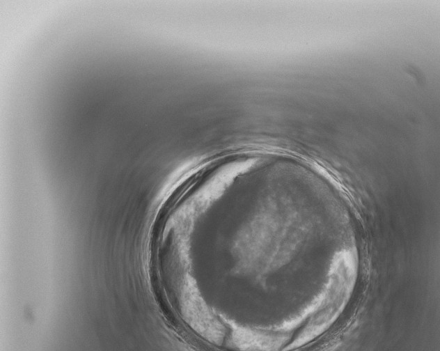 X0000115410199200912011232