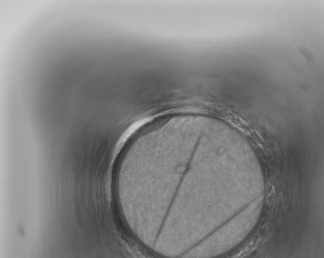 X0000115410200200912011232