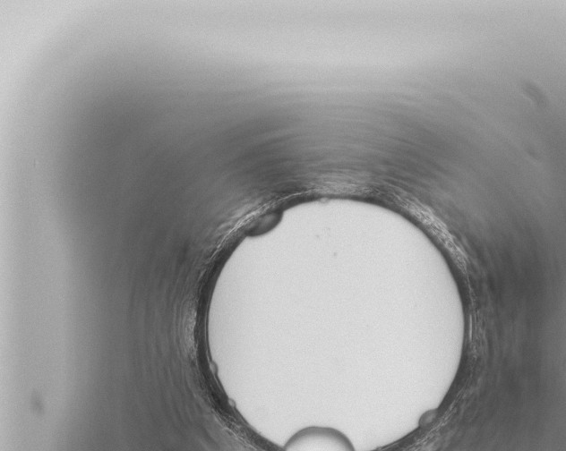 X0000115410201200912011232