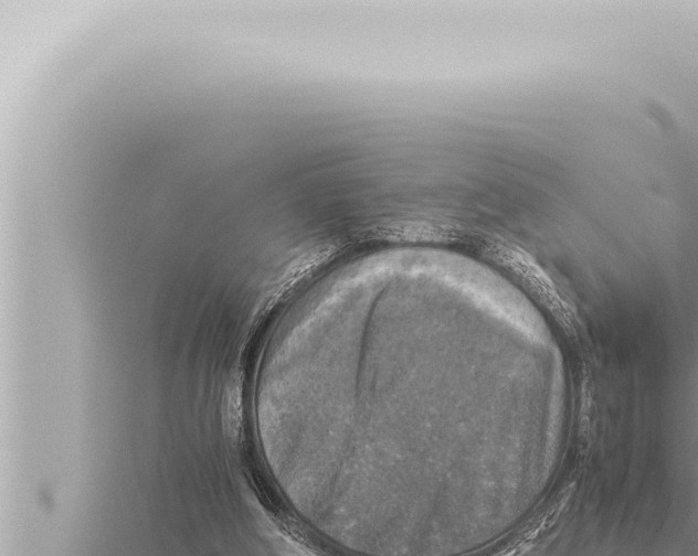 X0000115410202200912011232