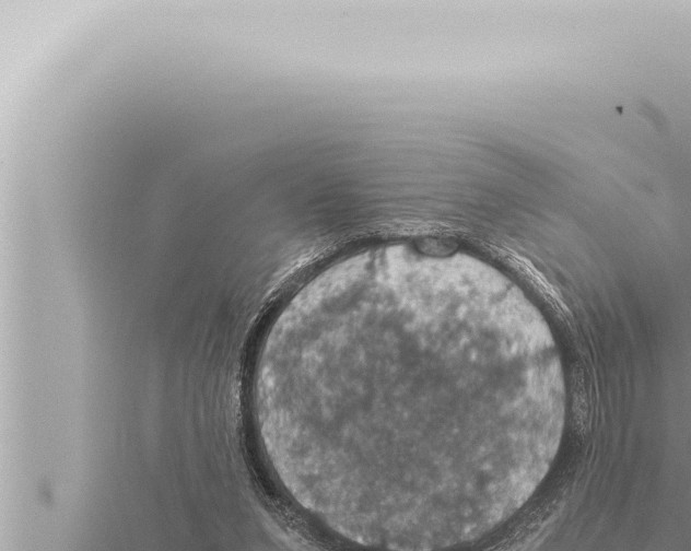 X0000115410207200912011232