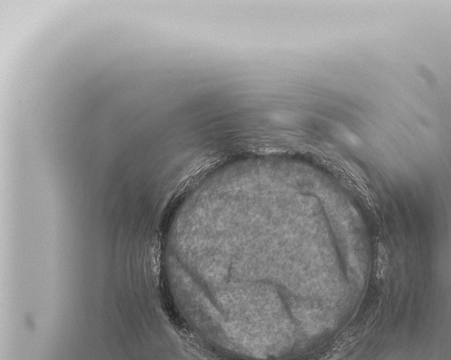 X0000115410210200912011232