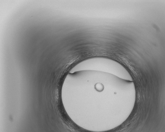 X0000115410211200912011232