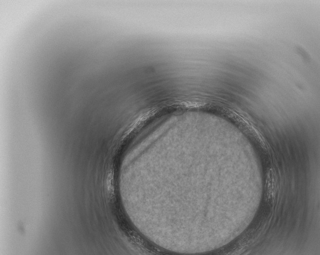 X0000115410212200912011232