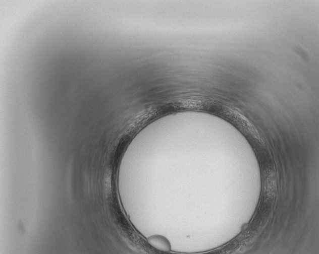 X0000115410213200912011232