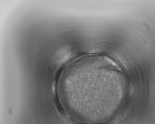 X0000115410214200912011232