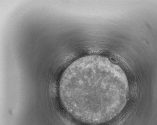 X0000115410215200912011232