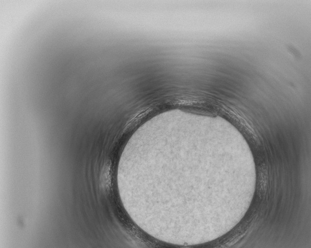 X0000115410216200912011232