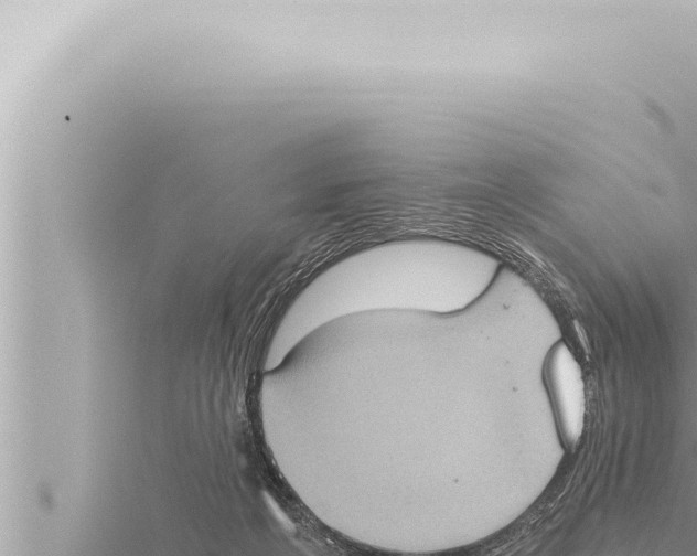 X0000115410217200912011232