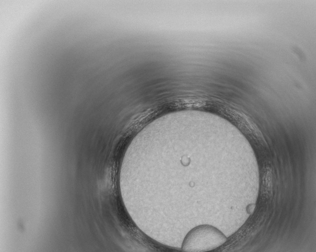 X0000115410218200912011232