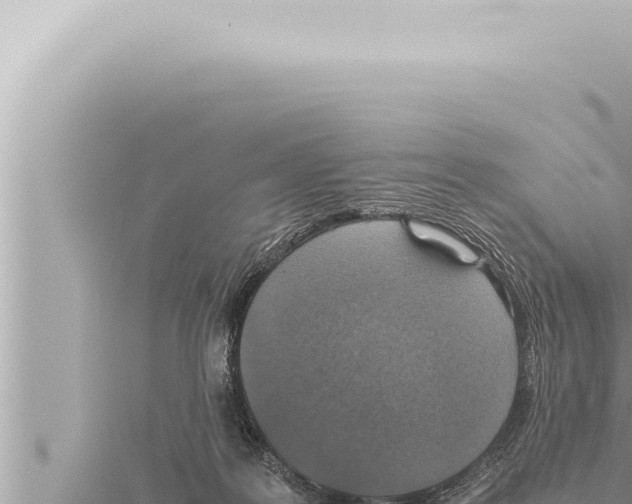 X0000115410219200912011232