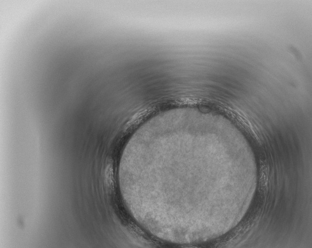 X0000115410220200912011232