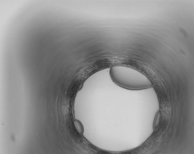 X0000115410221200912011232