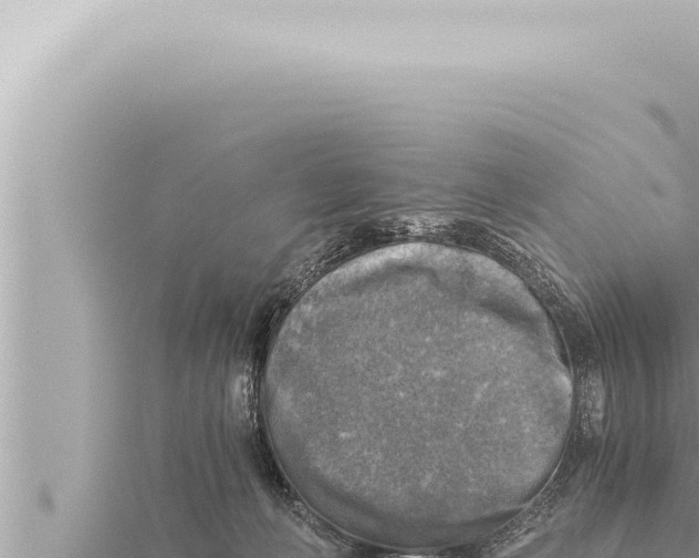 X0000115410222200912011232