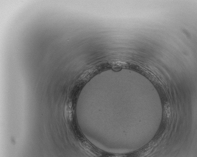 X0000115410223200912011232