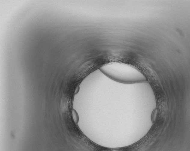 X0000115410225200912011232