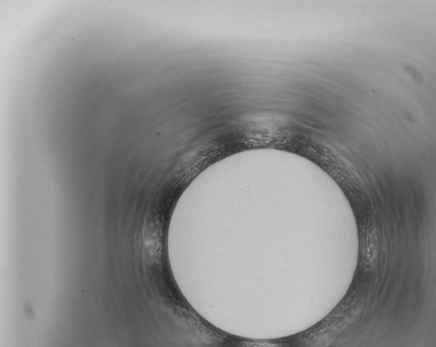 X0000115410226200912011232