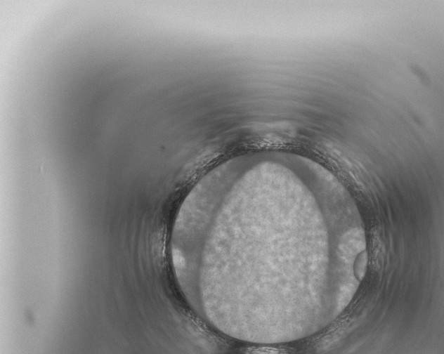 X0000115410230200912011232