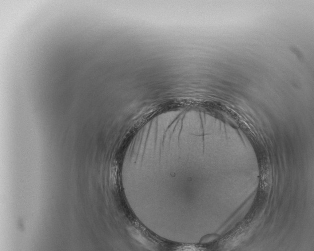 X0000115410231200912011232