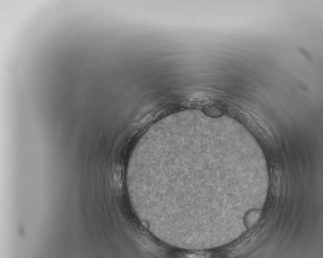 X0000115410232200912011232