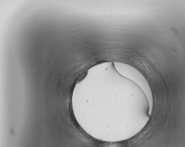 X0000115410235200912011232