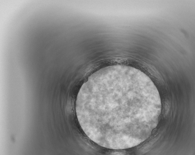 X0000115410236200912011232