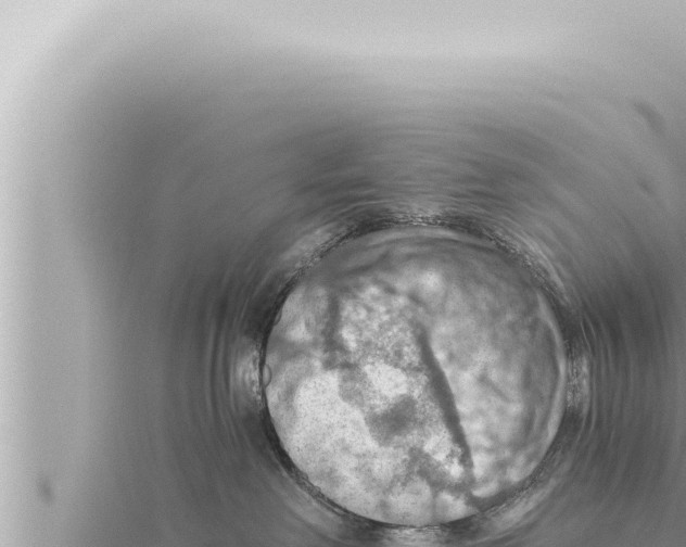 X0000115410238200912011232