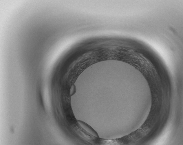 X0000115410239200912011232