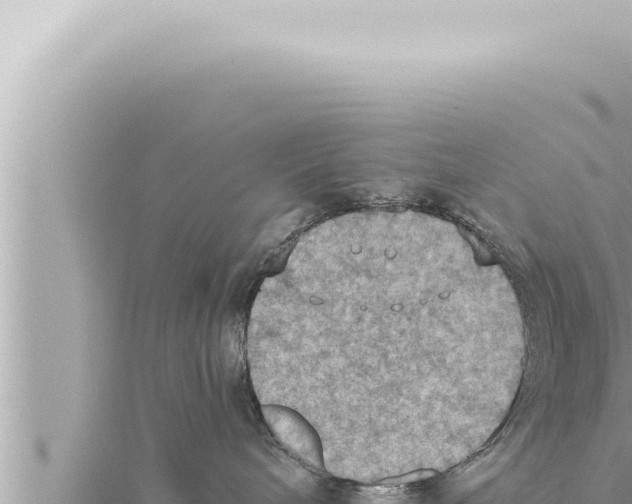 X0000115410240200912011232