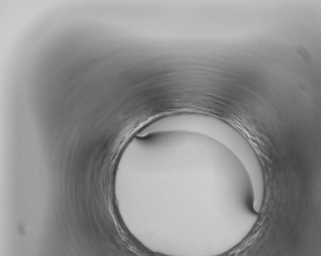 X0000115410241200912011231