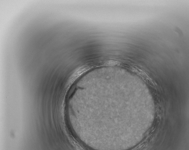 X0000115410242200912011231