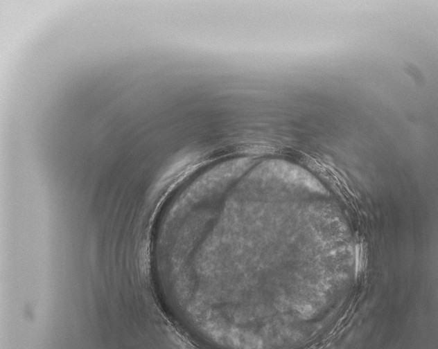 X0000115410243200912011231