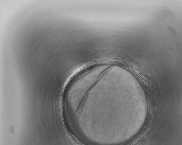 X0000115410244200912011231