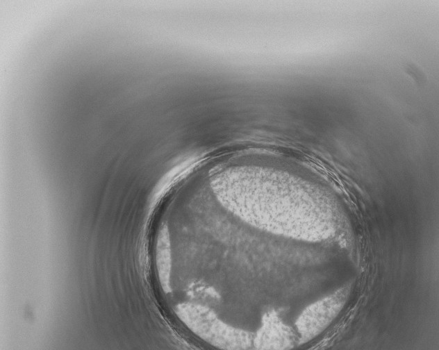 X0000115410245200912011231