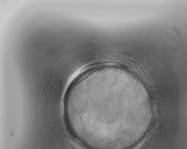 X0000115410246200912011231