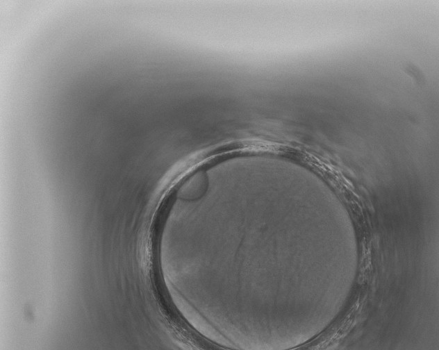 X0000115410247200912011231