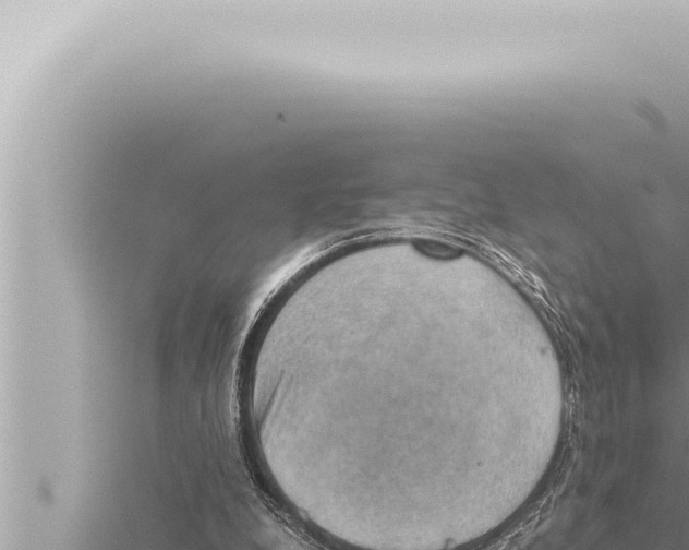 X0000115410248200912011231