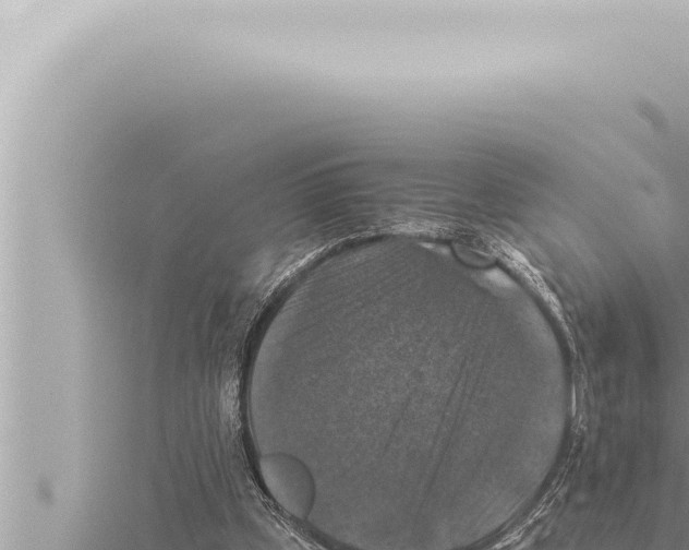 X0000115410249200912011231