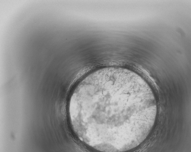 X0000115410250200912011231