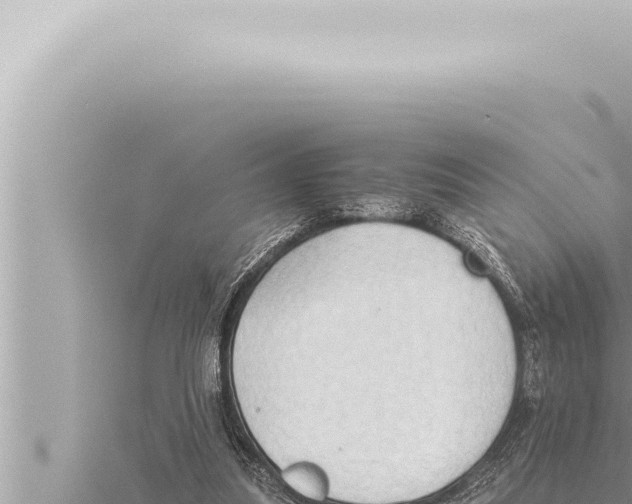 X0000115410251200912011231