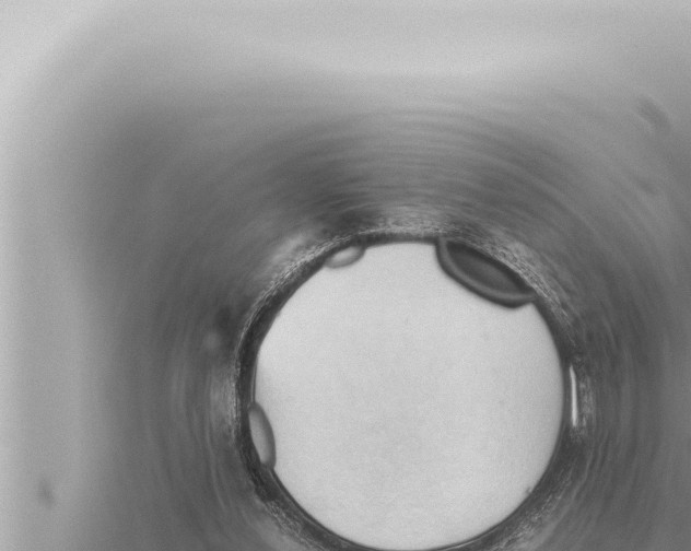 X0000115410252200912011231