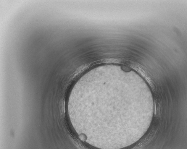 X0000115410253200912011231